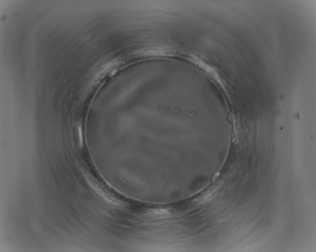 X0000076350061200610061536