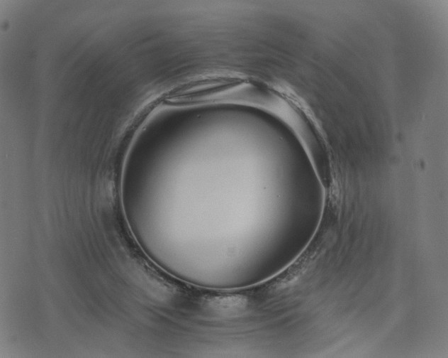 X0000076350063200610061536