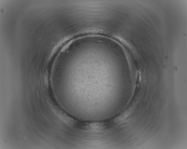 X0000076350064200610061536