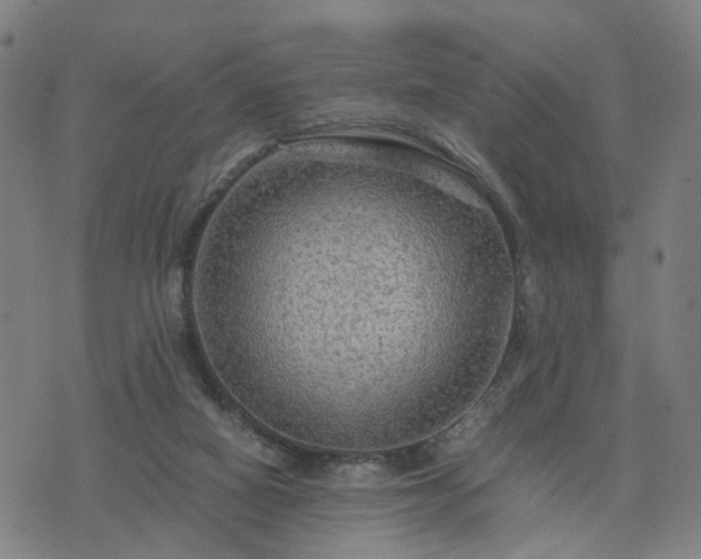 X0000076350066200610061536