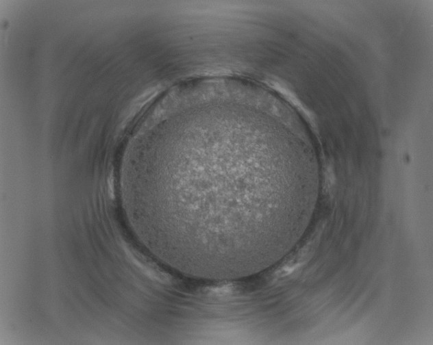 X0000076350068200610061536