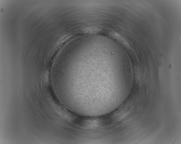 X0000076350071200610061536