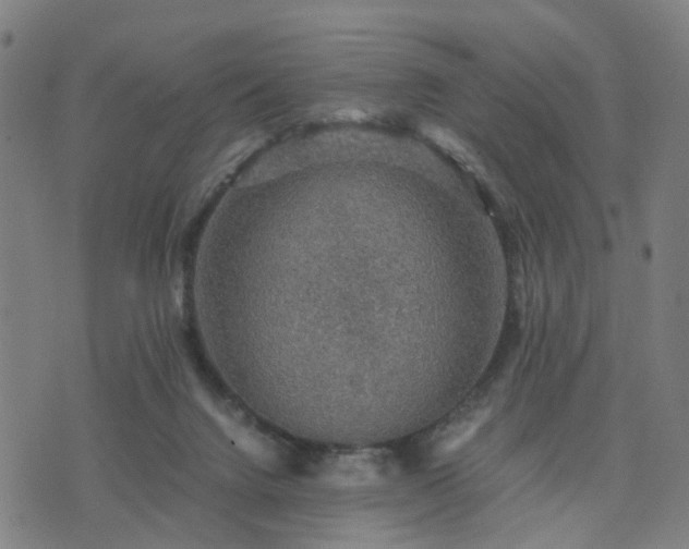 X0000076350072200610061536