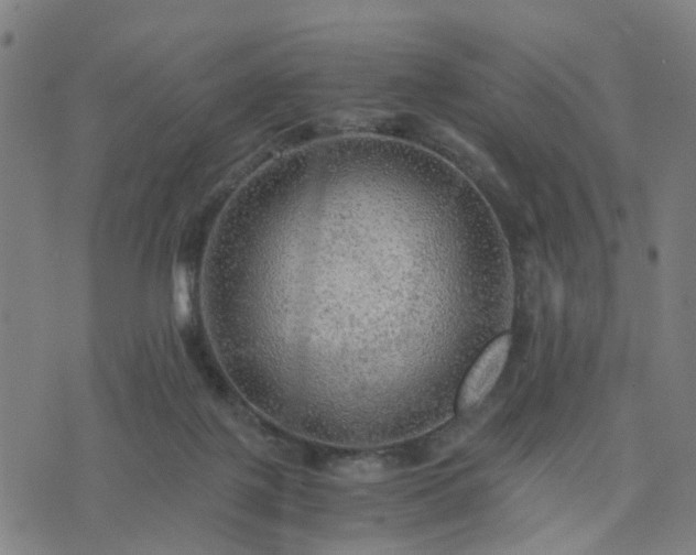 X0000076350075200610061536