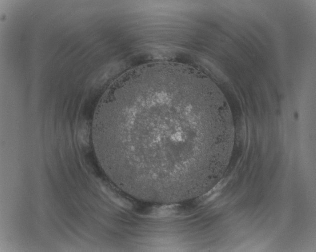 X0000076350078200610061536