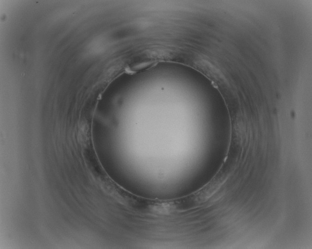 X0000076350079200610061536