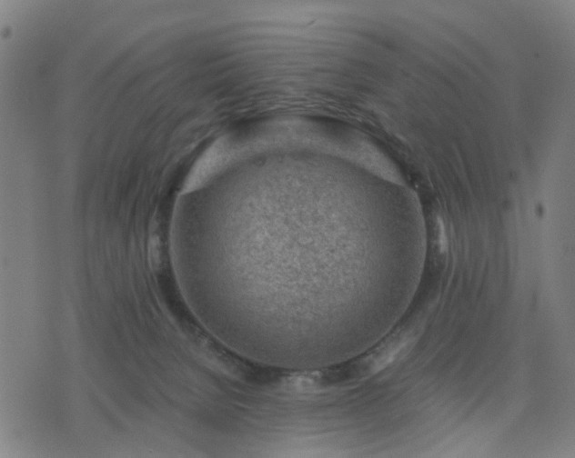 X0000076350080200610061536