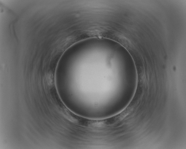 X0000076350081200610061536