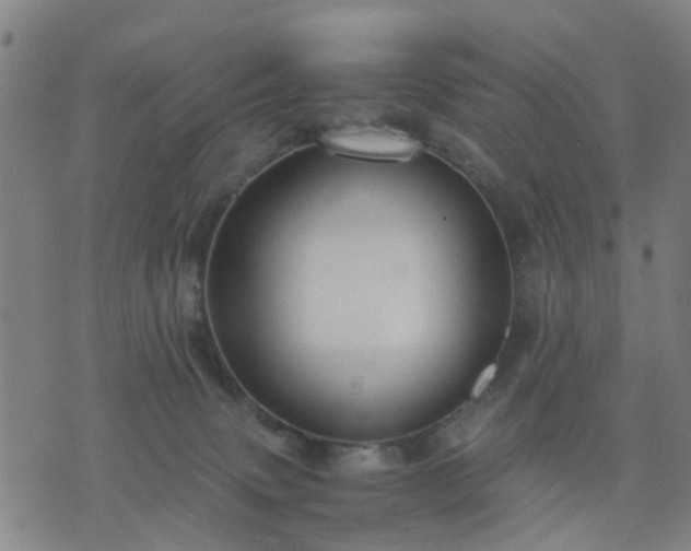 X0000076350083200610061536