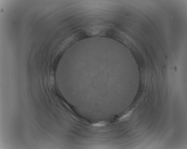 X0000076350085200610061536