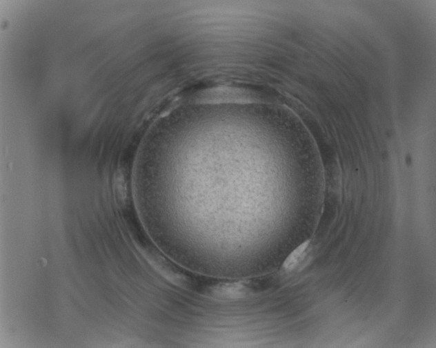 X0000076350086200610061537