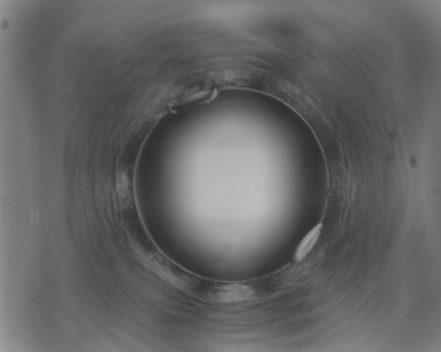 X0000076350087200610061537