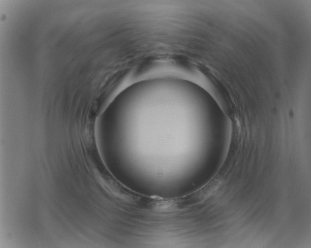 X0000076350088200610061537