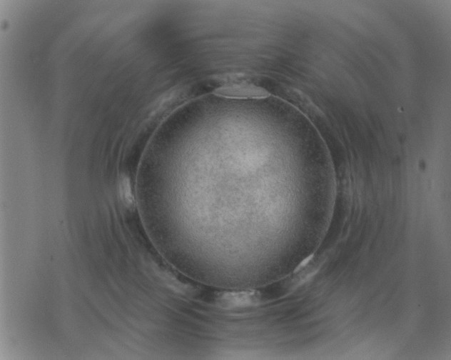 X0000076350089200610061537