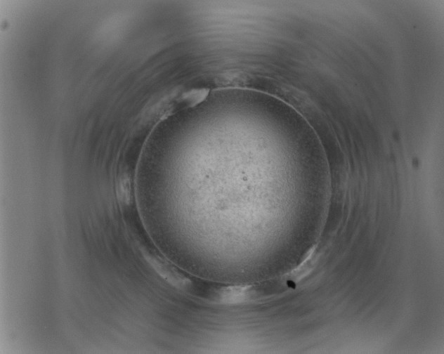 X0000076350090200610061537