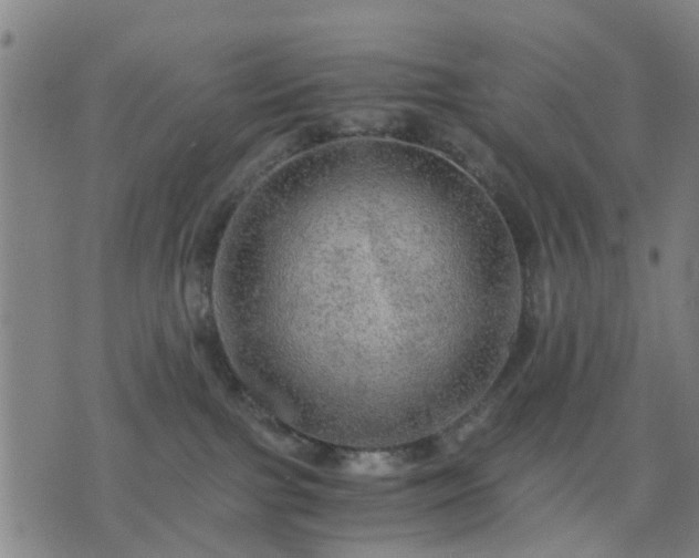 X0000076350091200610061537