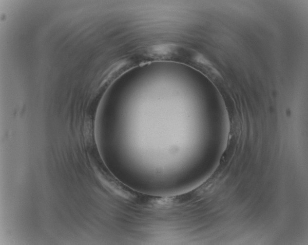 X0000076350092200610061537