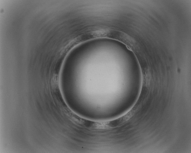 X0000076350093200610061537