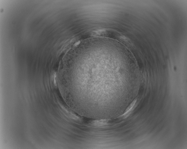 X0000076350094200610061537