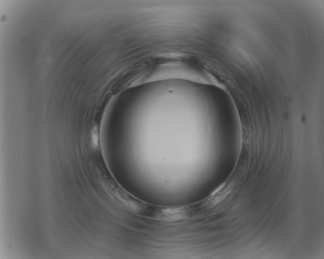 X0000076350095200610061537