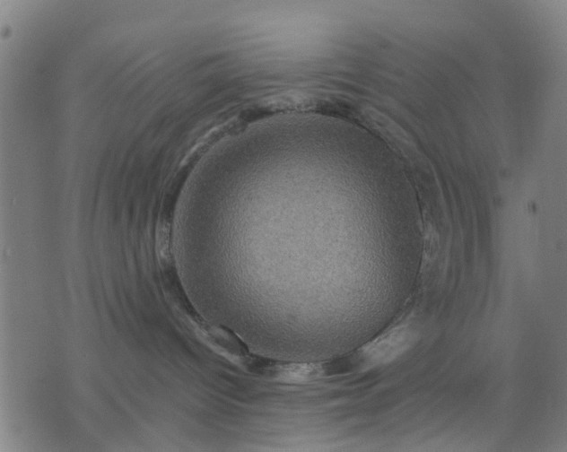 X0000076350096200610061537