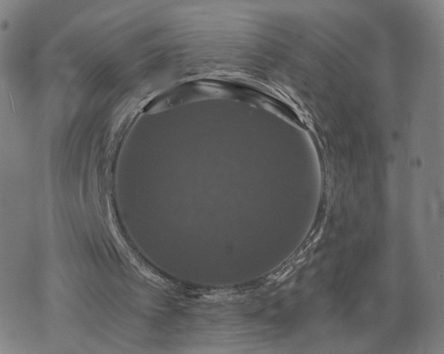 X0000076350097200610061536