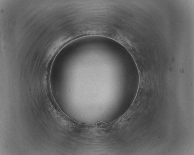 X0000076350098200610061536