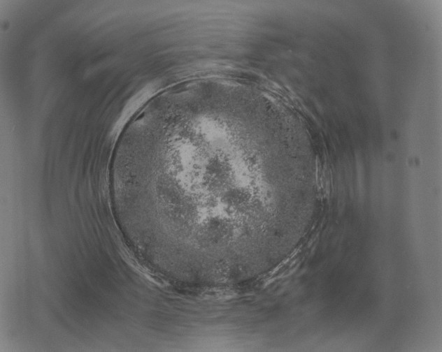 X0000076350099200610061536