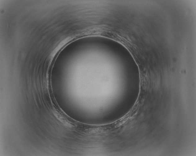 X0000076350100200610061536