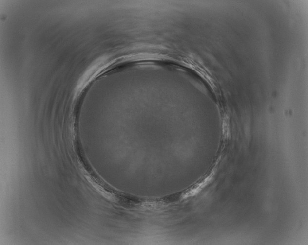 X0000076350101200610061536