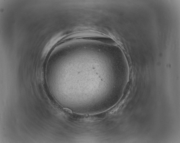 X0000076350103200610061536