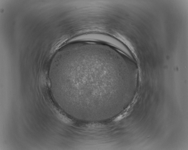 X0000076350105200610061536