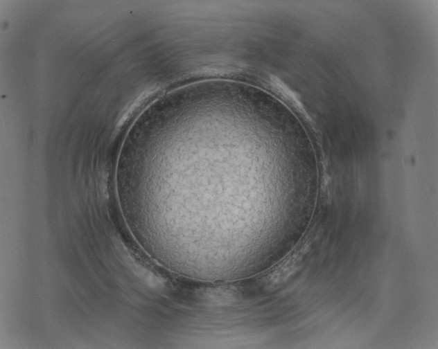 X0000076350106200610061536