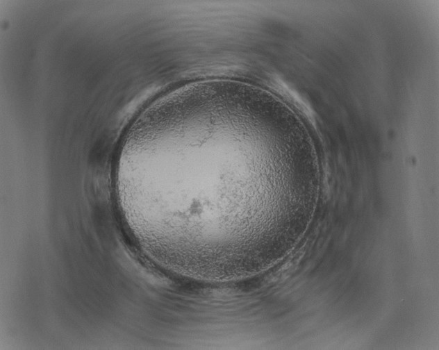 X0000076350107200610061536