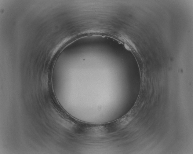 X0000076350108200610061536