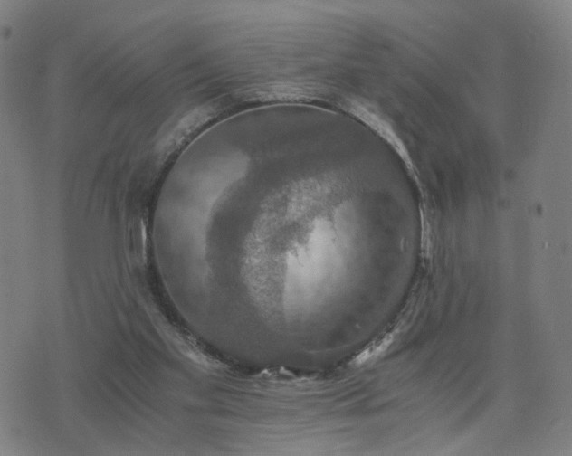 X0000076350109200610061536