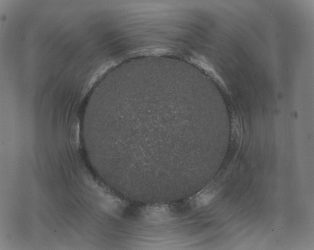 X0000076350110200610061536