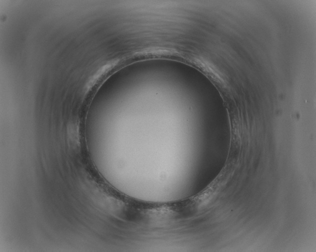 X0000076350112200610061536