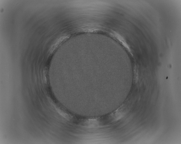 X0000076350114200610061536