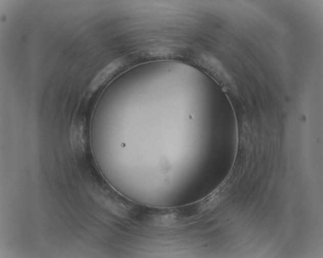 X0000076350116200610061536