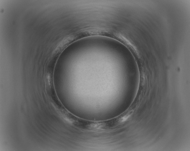 X0000076350117200610061536