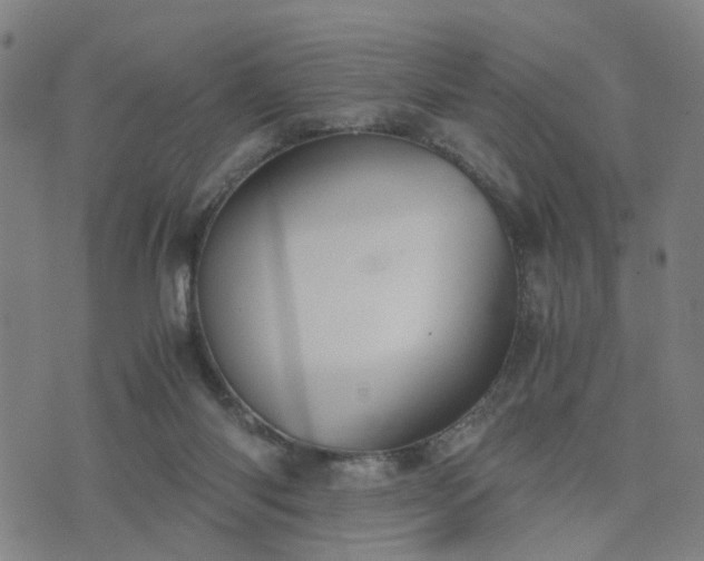 X0000076350118200610061536