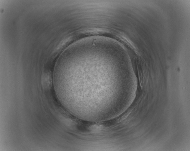 X0000076350119200610061536