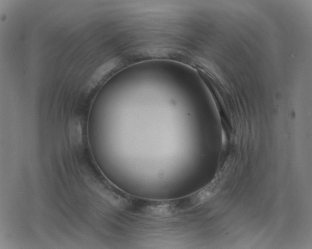 X0000076350120200610061536