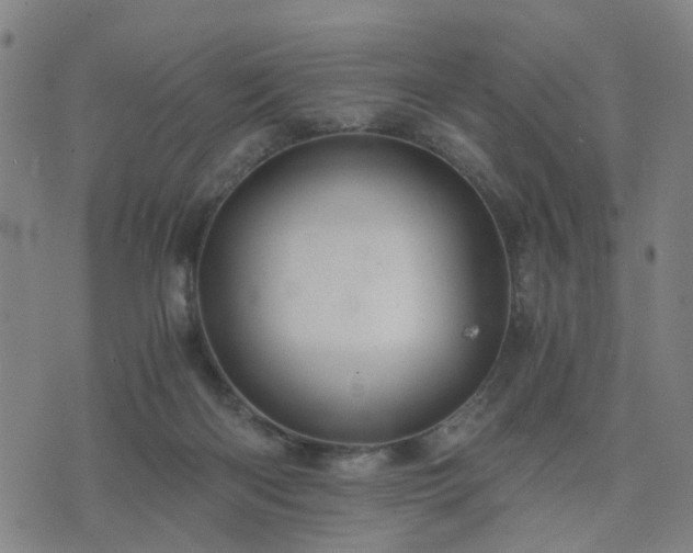 X0000076350122200610061535