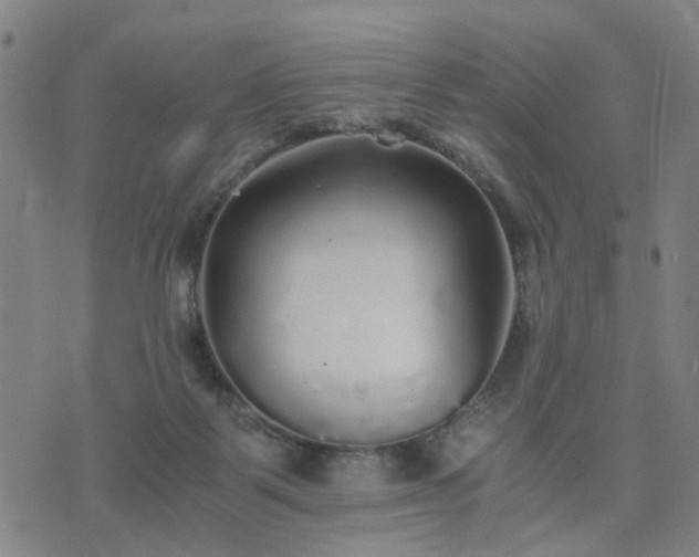 X0000076350123200610061535