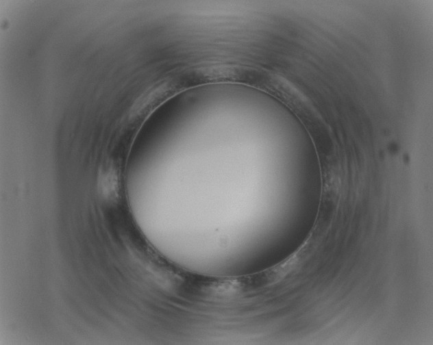 X0000076350124200610061535