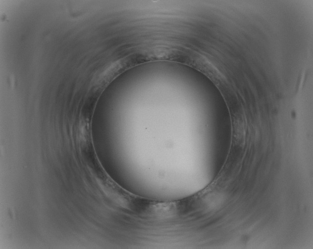 X0000076350126200610061535