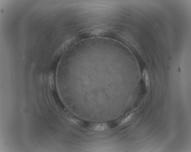 X0000076350127200610061535