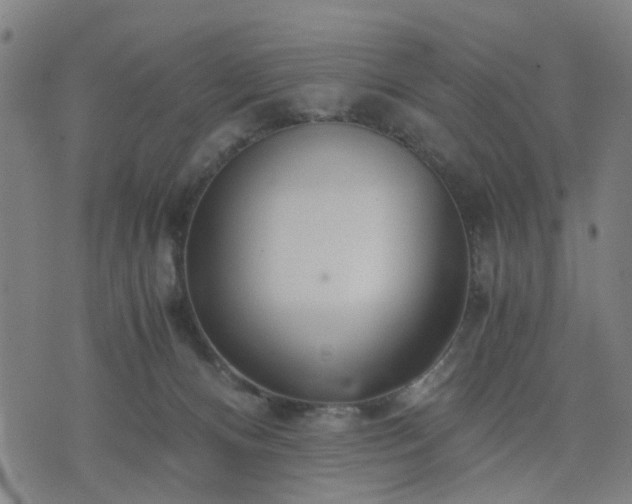 X0000076350128200610061535